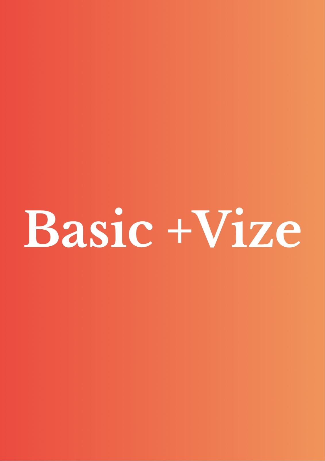 Basic + Vize